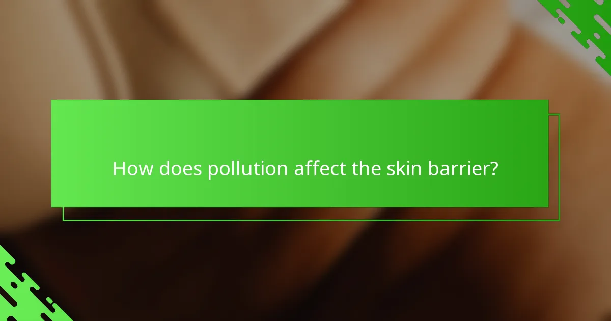 How does pollution affect the skin barrier?