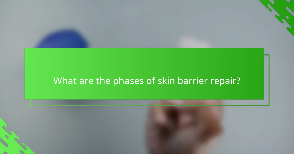 What are the phases of skin barrier repair?
