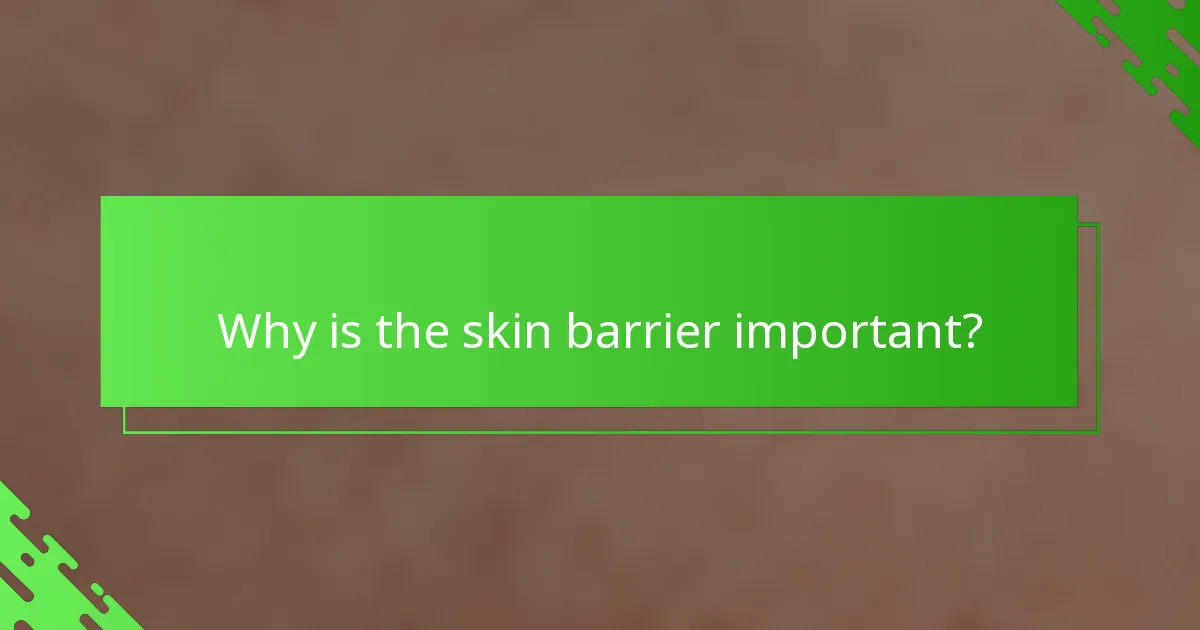 Why is the skin barrier important?